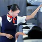 航空服务（票务、安检方向）、航空乘务定向委培